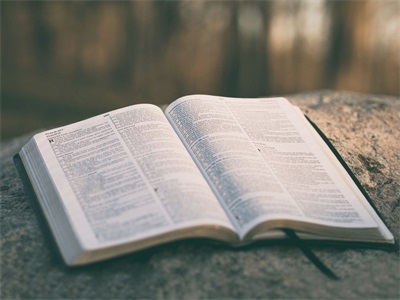 金博教育英语补习班