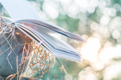 金博教育数学辅导一对一