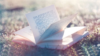 金博教育初中辅导班