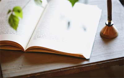 小学辅导金博教育一对一